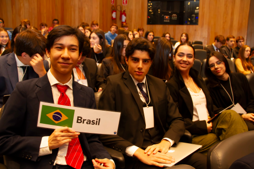 Você sabe o que é um evento de simulação diplomática?